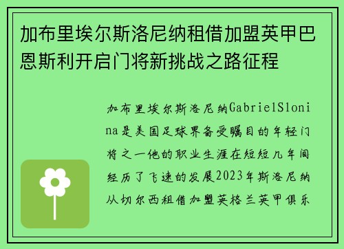 加布里埃尔斯洛尼纳租借加盟英甲巴恩斯利开启门将新挑战之路征程